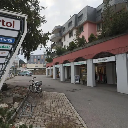 Promenade 121a - Kroth * Davos